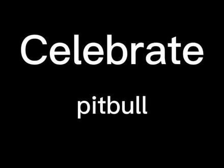 #音乐马达加斯加的企鹅 #音乐分享 #神级现场