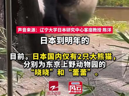 日本马上要没有大熊猫了,最后2只旅日大熊猫将回中国。专家:中方可能不再向日本
租赁新的大熊猫。#ZMG风云传播中心 (编辑:俞纬)