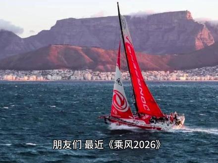 乘风2026一公选歌组队