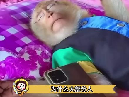 旅游和度假的区别#内容过于真实 #特种兵式旅游