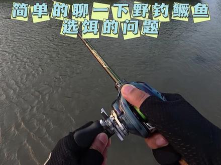 简单聊一下野钓鳜鱼软饵的选择 #鳜鱼 #路亚野钓 #钓鱼人就是这么疯狂 #路亚新手入门教程 #鲈语者G7 @鲈语者