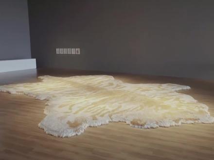 徐冰烟草计划系列中的作品《荣华富贵》 徐冰的《荣华富贵》用66万支廉价香烟拼成一张巨大“虎皮地毯”。华丽外表下,是欲望、资本与消费社会的隐喻,把“荣华富贵”变成一种危险又上瘾的幻觉。#艺术在抖音 #装置艺术 #徐冰 #香烟 #当代艺术@抖音艺术 @DOU+小助手