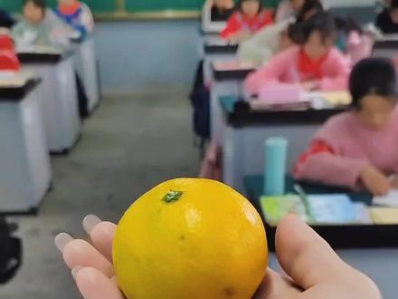 描写橘子几步法,大家说这个橘子应该奖给哪位同学呢?😂😂拿不定主意了#班主任 #作文 #美好根本拦不住
