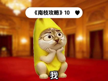 《南枝攻略》10#猫meme故事#猫meme #猫meme日常 #搞笑