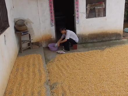 农村媳妇想吃鱼,亲自去钓,路边的小坑她也能连竿,很有意思