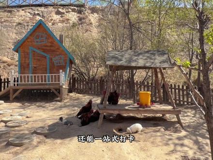 五一假期,快约上小朋友家人一起来这里玩吧#西北大熊猫顶流曼兰崽来了#甘肃首只熊猫幼崽正式出道