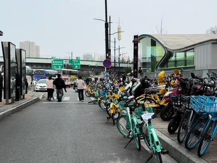 中原福塔神机位步行导航攻略来咯#七里河美人梅 #樱花 #中原福塔 #神级机位 #攻略