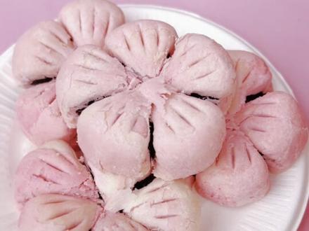 桃花堤的花开了吗?3月13号现场实拍 #桃花美拍 #桃梦红桥源启津门 #你好天津 #点赞天津 #见闻九河晓月