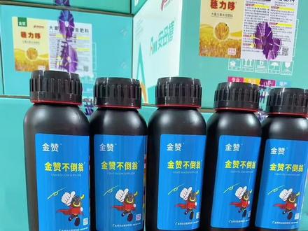 小麦高产抗倒伏就用金赞不倒翁 ,金赞不倒翁液体硅肥,小麦高产抗倒伏专用硅 #金赞不倒翁 #小麦种植 #小麦高产管理技术 #小麦抗倒伏#硅肥