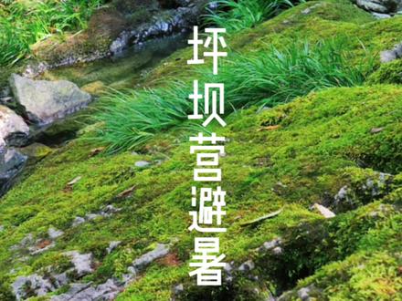 重庆与武汉中间 北纬30度神秘地带 夏季平均气温22度 只有少数人才知道的坪坝营森林公园 避暑攻略 推荐周末及小长假打卡#旅行推荐官 #清凉避暑好去处 #坪坝营国家森林公园 #恩施