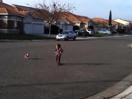 有狗追你怎么办,逃跑是最错误的做法 #科普 #涨知识 #狗