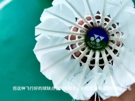 羽毛球的耐打性和飞行稳定性,鱼与熊掌不可兼得#羽毛球 #耐打羽毛球推荐 #羽毛球装备