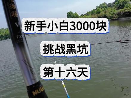 #钓鱼没技巧全靠天天搞 收费60的钓场还能抽大头