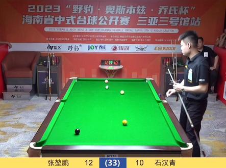 张堃鹏对决石汉青胜利夺冠20万#是时候展现真正的技术了 #台球是一种生活 #这场比赛打得太精彩了 #记录精彩瞬间 #亨受打球带来的快乐