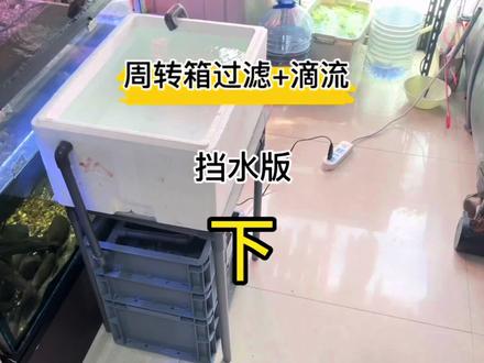 周转箱底滤➕滴流教程下集-挡水板制作思路,视频后面有彩蛋哟🥳#鱼缸过滤 #周转箱过滤 #新手养鱼 #过滤系统 #diy