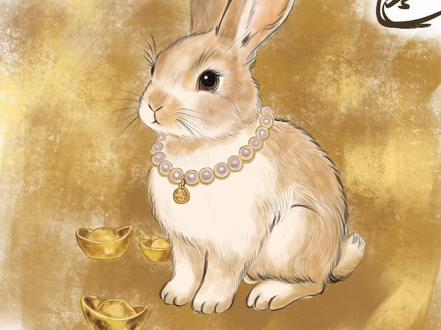 我不偏心啊,只会画兔兔而已#十二生肖拼豆#偏心 #想画就画随心所欲#生肖兔