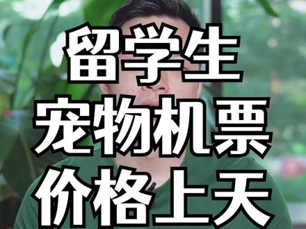留学生的宠物该如何回国呢? #留学 #留学生 #留学生活 #宠物机票