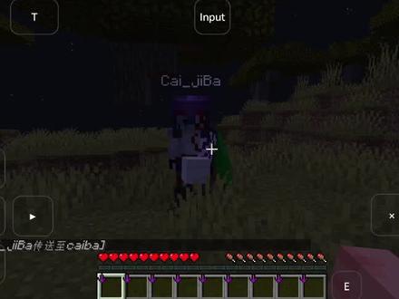 我的世界JAVA版,电脑端和手机端联机教程#我的世界 #我的世界JAVA版 #我的世界联机教程 #PCL #FCL