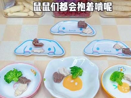 #仓鼠日常 #小萌宠