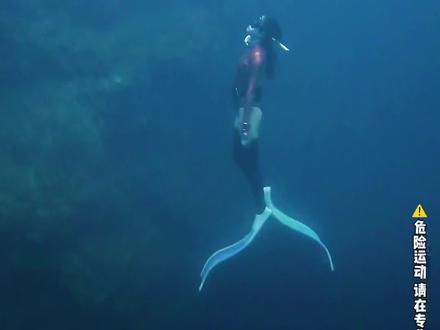 25.9米实录~成就感满满👅
#极限运动 #深潜 #潜水#现场实拍 #九顿天窗 有多深?