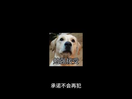 真实没改编 我就是最帅的那个。#霸凌行为零容忍 #吃瓜 #炸裂人生