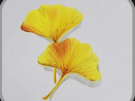 #彩铅 彩铅银杏叶教程,简单好看,一学就会!#彩铅绘画 #绘画教程 #dou上热门 @DOU+小助手