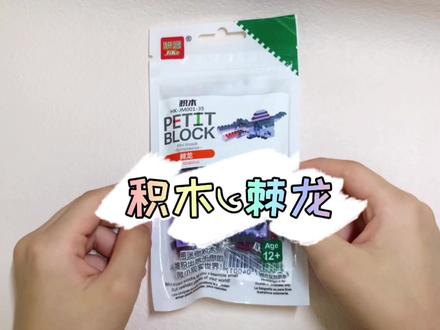 迷你科技积木棘龙拼搭 #积木 #乐高 #玩具 #益智拼搭 #思维 #耐心