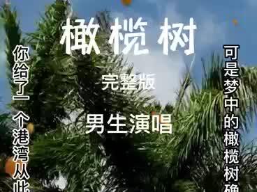 《橄榄树》男生版
你给了一个港湾,从此我不再流浪。#音乐分享 #歌词句句入心 #百听不厌