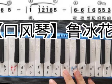 【口风琴教学】鲁冰花-怎么入门歌曲自学简谱视唱教学课程#口风琴#鲁冰花#口风琴教学