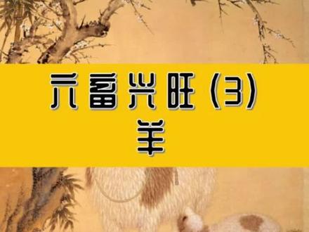羊的由来与典故#六畜兴旺 #历史 #传统文化