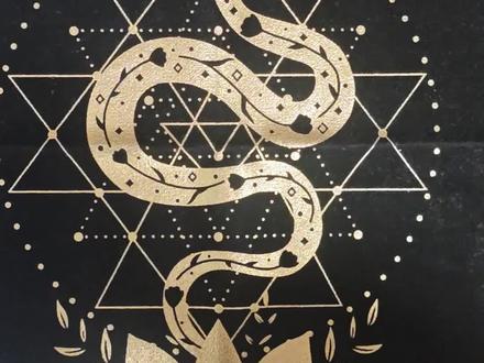 小杰对柏拉图梗的看法 “万一小杰是柏拉图呢?”#橹穆 #271199 #纯属娱乐请勿当真