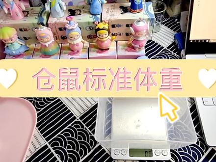 仓鼠标准体重来咯,看看你们的鼠子是正常还是肥胖🤫#仓鼠