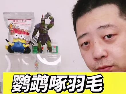 鹦鹉梳理羽毛正常,但是咬伤自己不正常! #王十三的鹦鹉用品店铺 #关爱动物 #手养鹦鹉 #鹦鹉🦜 #我要上热门感谢官方推送