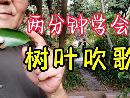 两分钟学会树叶吹歌#乐器演奏 ##竹笛演奏 #天然乐器