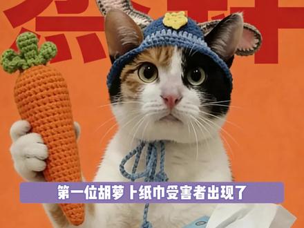 第一位胡萝卜纸巾受害者出现了#猫咪 #橘猫 #萝卜纸巾 #搞笑