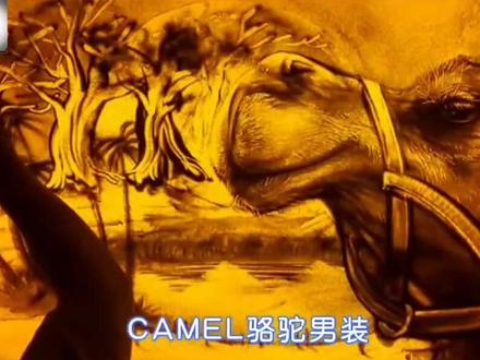 骆驼户外第一品牌