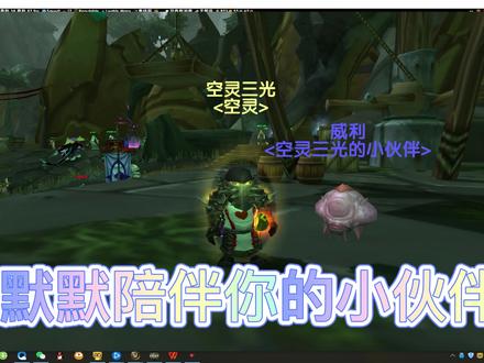 仅需半小时,陪伴你整个魔兽生涯.mp4 #魔兽世界怀旧服