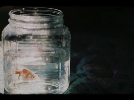 得过且过,恐怕是对顺其自然最大的误解。 #顺其自然 #顺其自然随遇而安 #人生感悟 #修心