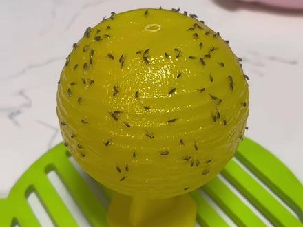 最近家里小飞虫太多了,这个诱捕球真的是救了我老命了,真的巨能粘,那些虫一旦飞上去就跑不了#小飞虫 #诱捕球 #果蝇 #小飞虫诱捕器