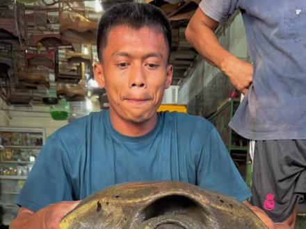 #神奇动物在抖音 #爱护大自然保护野生动物 #万物皆有灵性 你们见过这么大的鳖吗