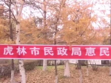 虎林市民政局惠民政策宣传周