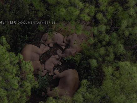 豆瓣9.7封神续作!耗时4年,横跨37国的地球生态史诗续篇! 6500+小时极限拍摄,踏遍南极冰架、亚马逊雨林、东非草原、深海深渊,解锁生态系统的隐秘关联与生命奇迹!
不止自然壮阔!北极熊母子踏碎冰寻食、珊瑚礁重生孕育万千生灵、候鸟编队穿越风暴迁徙、草原狮群守护族群猎食,定格生命与环境的共生瞬间!
8K超高清黑科技加持:极地红外延时记录冰川消融轨迹、水下全景镜头还原珊瑚礁生态链、微型无人机追踪迁徙族群,连昆虫授粉的细微动作都纤毫毕现!
从冰川到深海,从草原到雨林,见证生命在环境变迁中的坚守与适应,每一帧都是对地球家园的深情告白与守护呼吁!#科普#纪录片#我们的星球#自然奇观#助眠