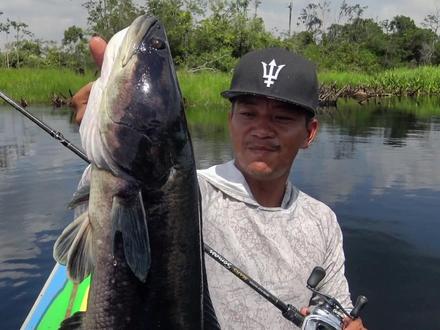 #Pertama #KEEBOW #Somasi70RM #Shimano #AntaresMGL #龚磊路亚