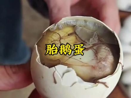 胎鹅蛋活珠子安徽无为美食蒸熟新鲜18-22天#胎鹅蛋#活珠子 #强烈推荐 #快来一起尝个鲜 #美食