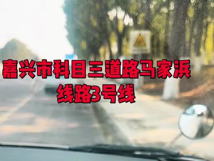 嘉兴市科目三模拟考试#学车考驾照技巧