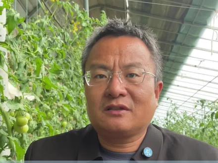 尿素生产的秘密,99%农户不知道 #尿素 #肥料 #尿素的使用 #尿素的作用