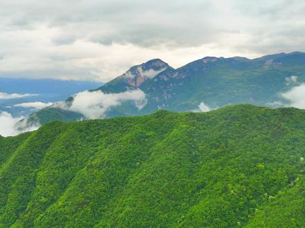 马连坪和青岗坪的伢子们看过来,圈出你的老家!