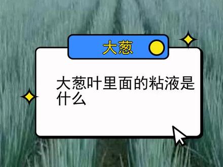 大葱叶里面的粘液是什么
