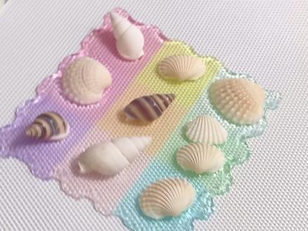 什么⁉️用拼豆做的贝壳冰箱贴|超简单 #我染上了拼豆 #我在抖音玩拼豆 #我的拼豆日常 #拼豆教程 #冰箱贴