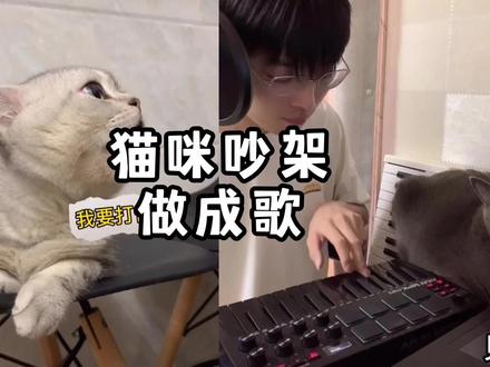 我把猫吵架做成一首歌,很上头。主演:@早安喵 灵感来自kiffness。#萌宠 #鬼畜 #猫 #猫咪合奏 #原创